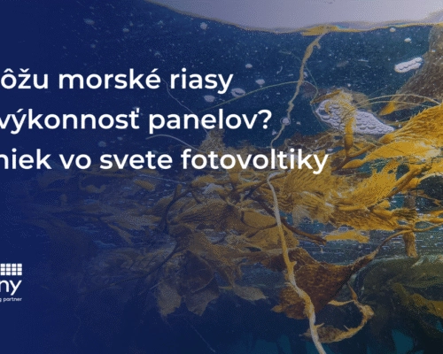 Ako môžu morské riasy zvýšiť výkonnosť panelov? Prečítajte si všetkých 5 noviniek vo svete fotovoltiky.